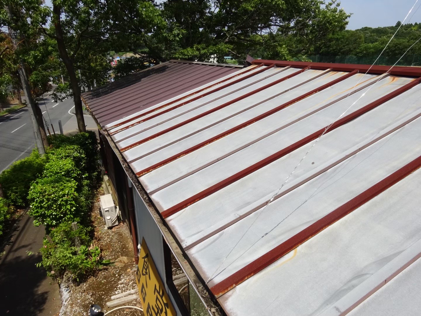 千葉市 月見草様