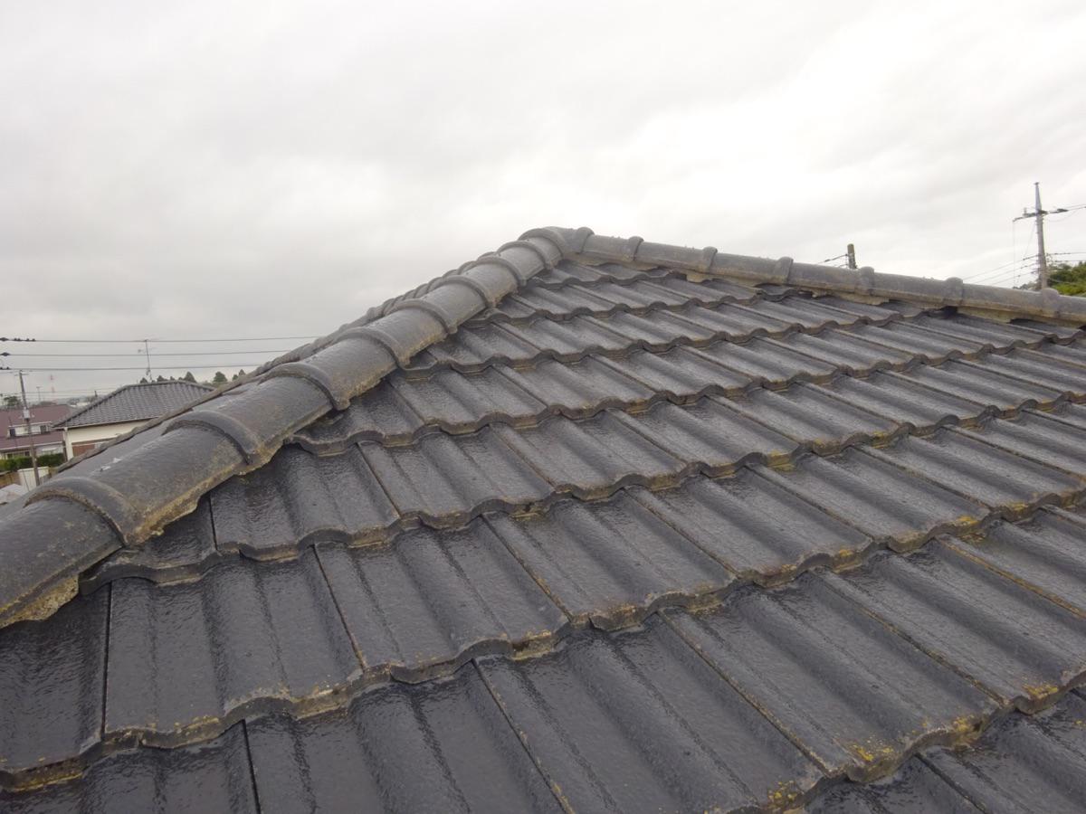 大網白里市 N様