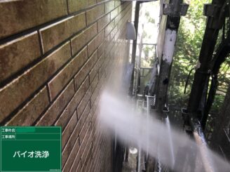 【外壁 バイオ洗浄】バイオ洗浄液を使用することで苔・藻・カビ等の汚れや油分を落としやすくします。
