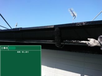 【雨樋 塗装2回目】