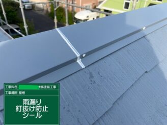 【棟板金 釘頭・ジョイント部シール処理】_打ち込んだ釘の抜けを防止、内部への雨水の侵入を防ぎます。