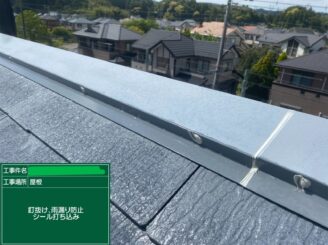 【棟板金 釘打ち込み】棟板金を固定する釘が抜けている箇所に釘の打ち込みをしていきます。釘が抜けてしまうと強風時などに屋根を飛ばされてしまう恐れがあります。